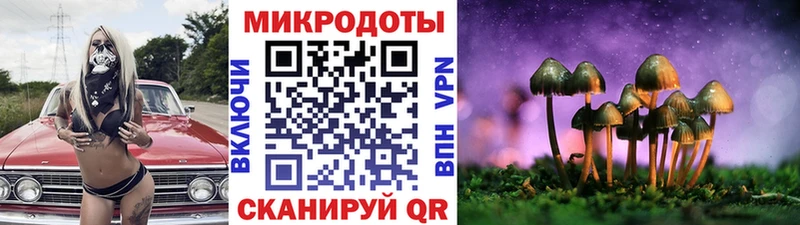 где можно купить наркотик  Исилькуль  mega как зайти  Псилоцибиновые грибы Cubensis 